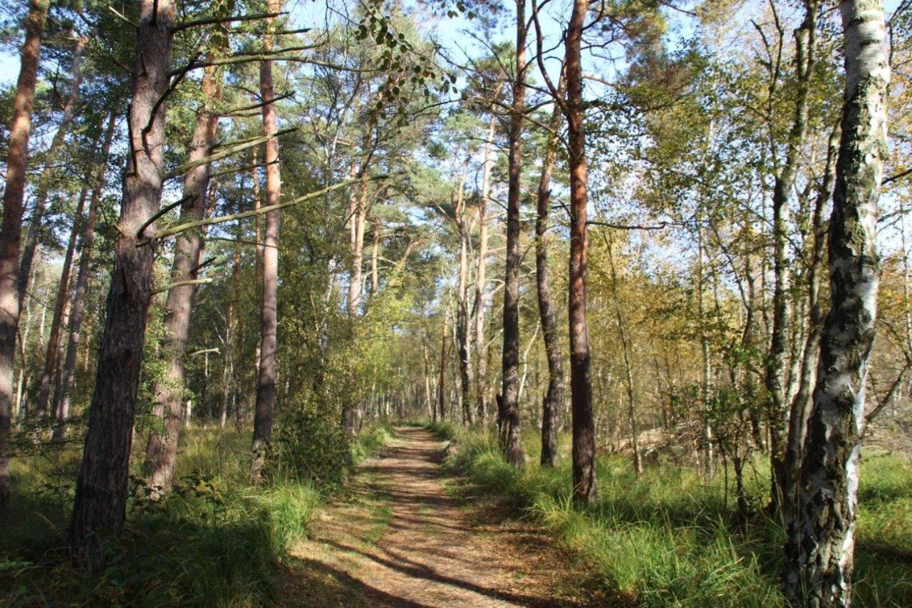 Ferienwohnung Fledermaus Gelbensande Zewnętrze zdjęcie