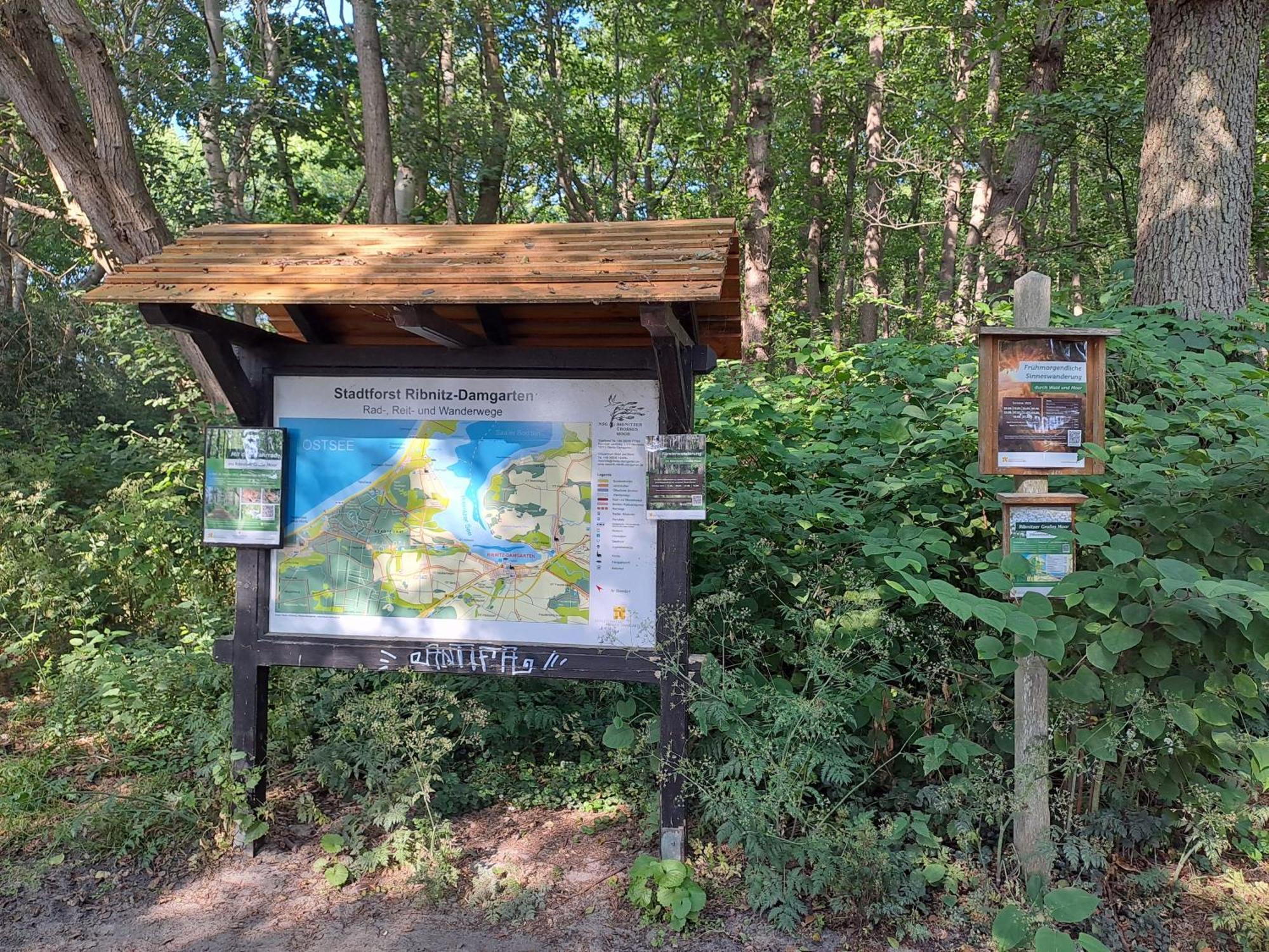 Ferienwohnung Fledermaus Gelbensande Zewnętrze zdjęcie